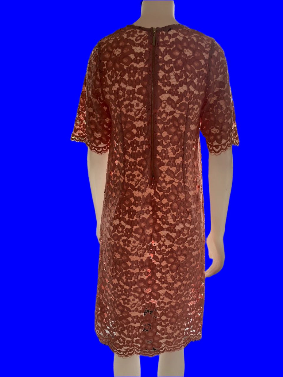 Perriam - NZ Made - Pink Lace Dress - Size: 12