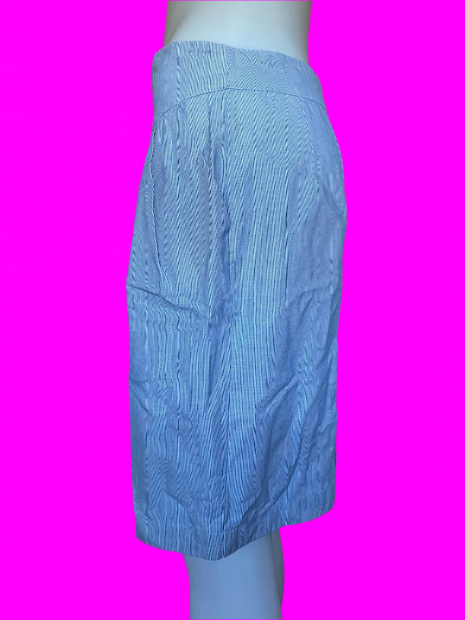 Emily and Fin - Pinstripe Blue & White Skirt - Size: L