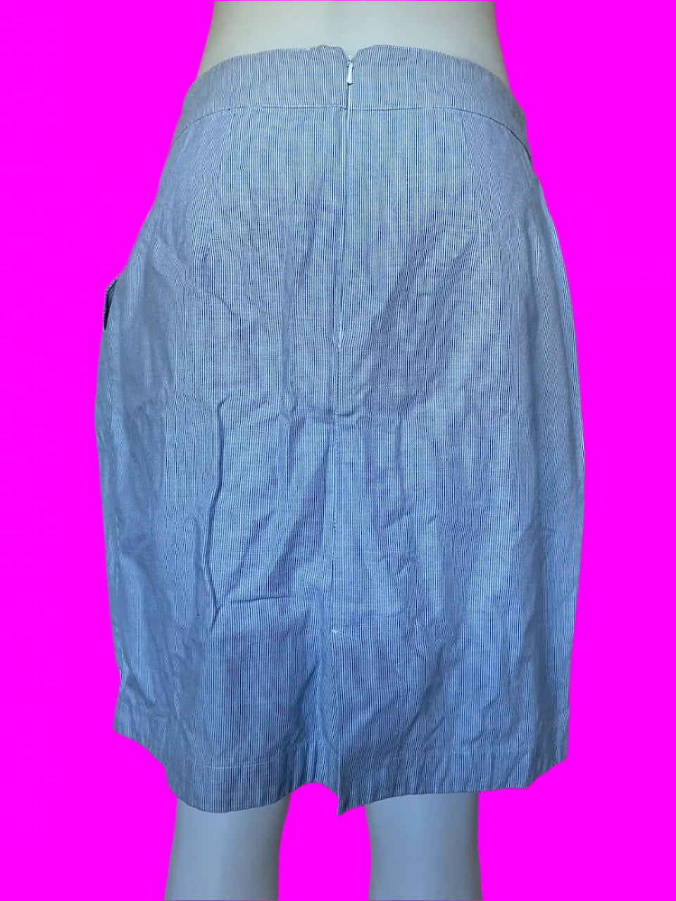 Emily and Fin - Pinstripe Blue & White Skirt - Size: L