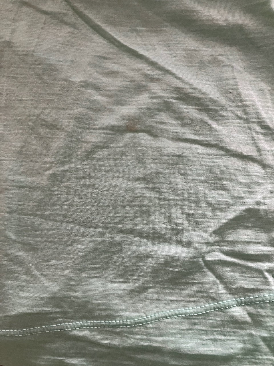 Icebreaker - Pastel Green Tee - Size: M